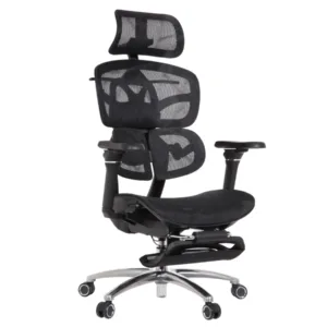 Louis Professional Chair