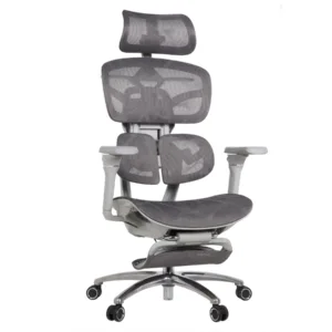 Louis Professional Chair