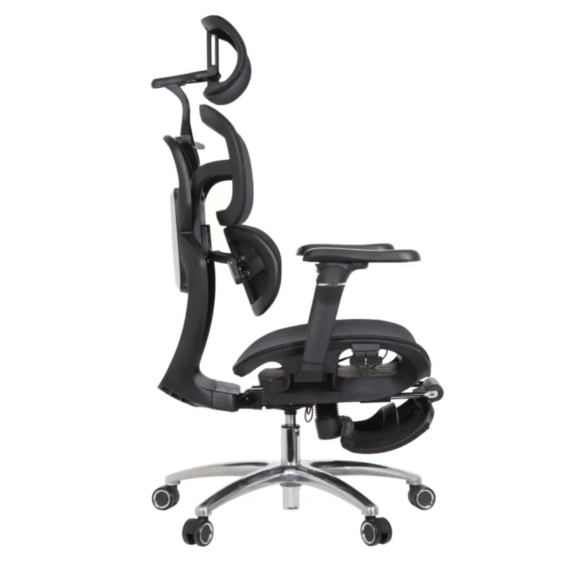 Louis Professional Chair