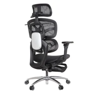 Louis Professional Chair