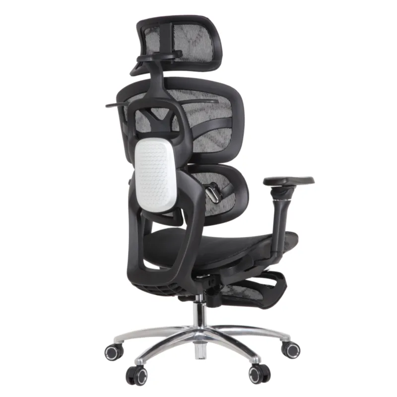 Louis Professional Chair