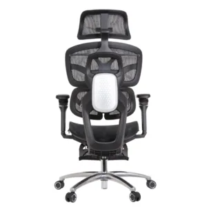 Louis Professional Chair