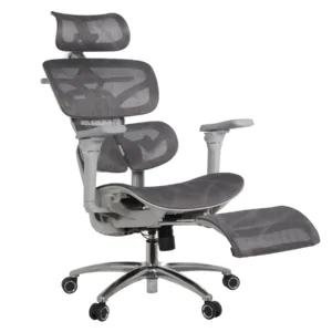 Louis Professional Chair