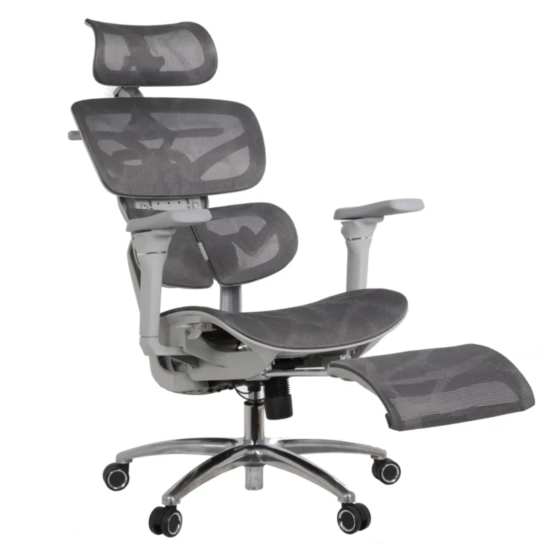 Louis Professional Chair