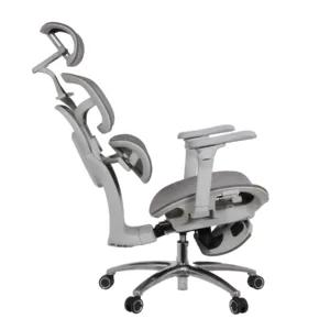Louis Professional Chair