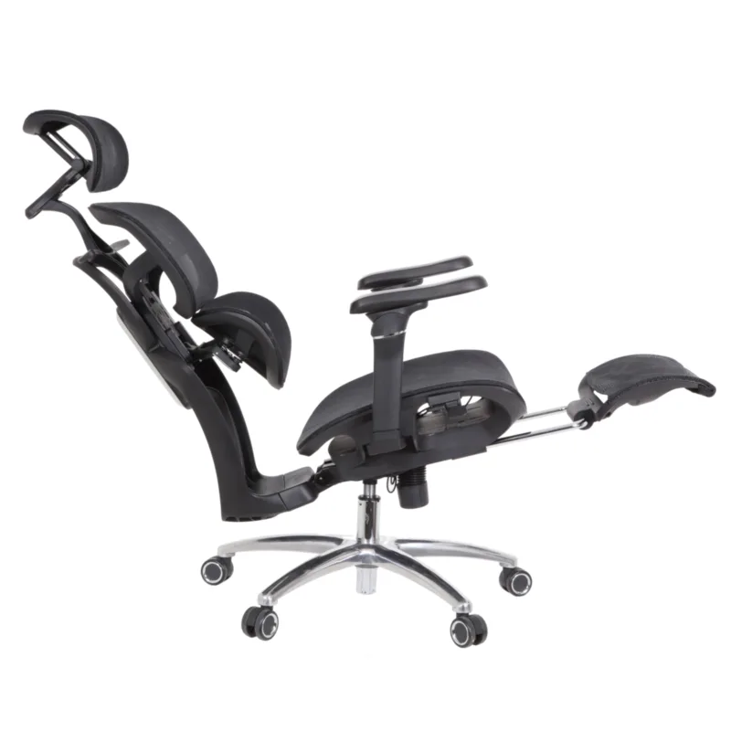 Louis Professional Chair