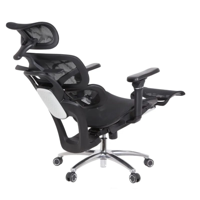 Louis Professional Chair