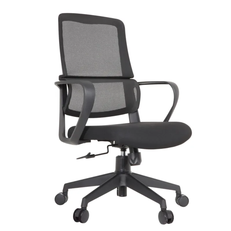 Debra IMG_0029_1 Century Task Chair