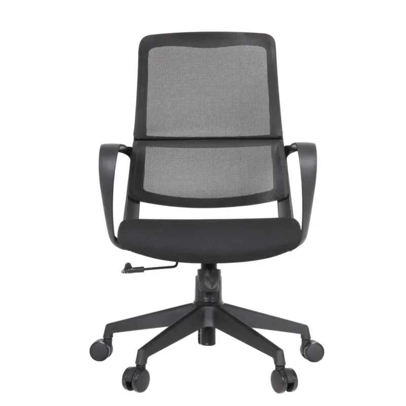 Debra IMG_0032 Century Task Chair