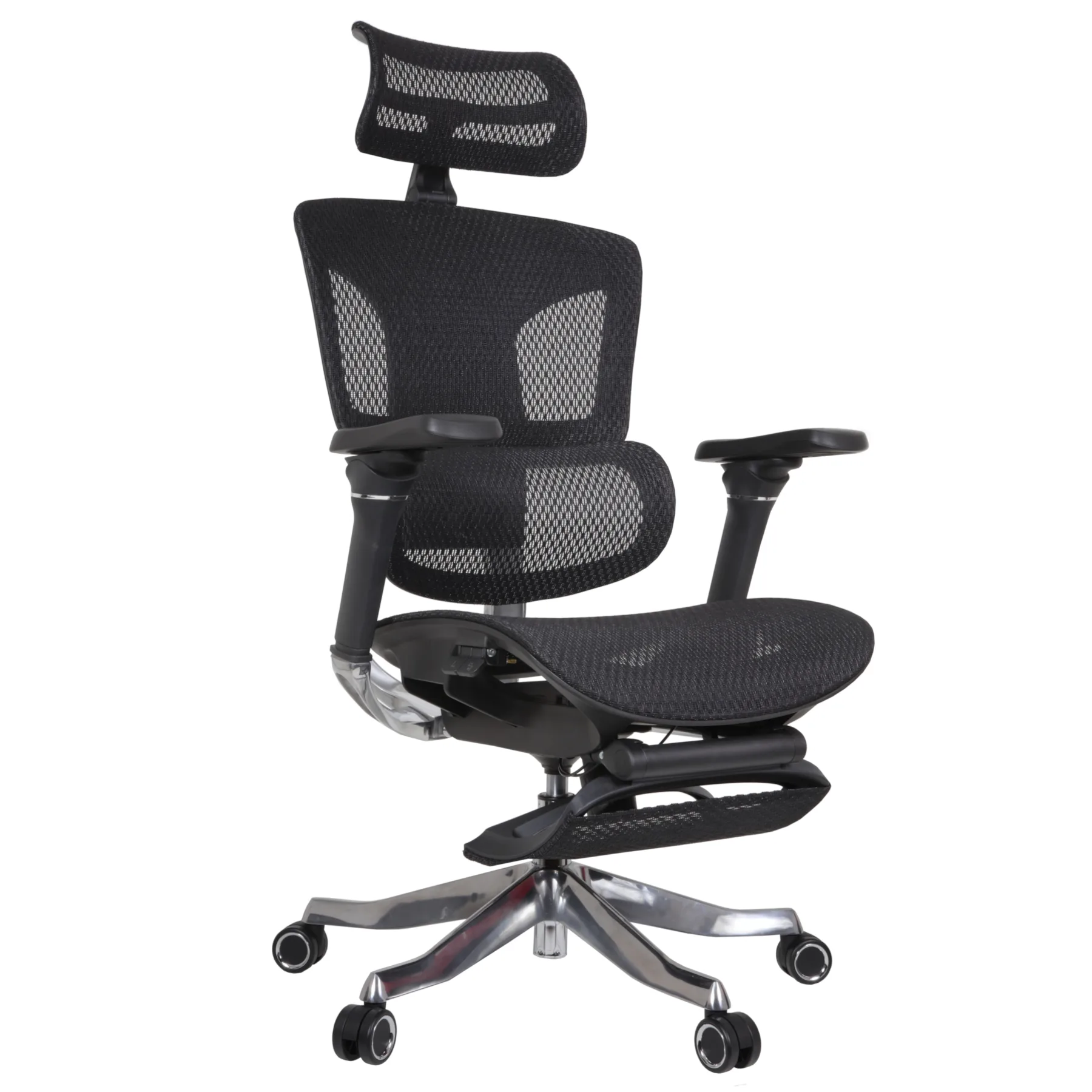 Becca IMG_0010_1 Becca Professional Chair