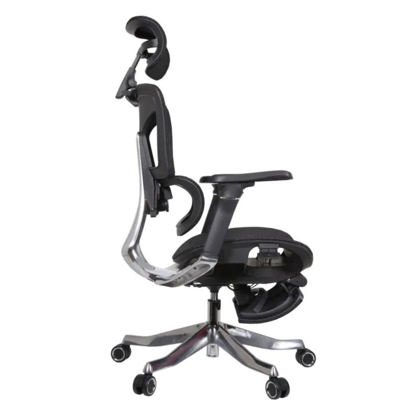 Becca IMG_0012 Becca Professional Chair