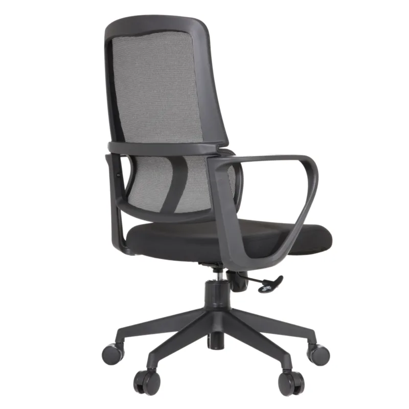 Debra IMG_0030_1 Debra Task Chair