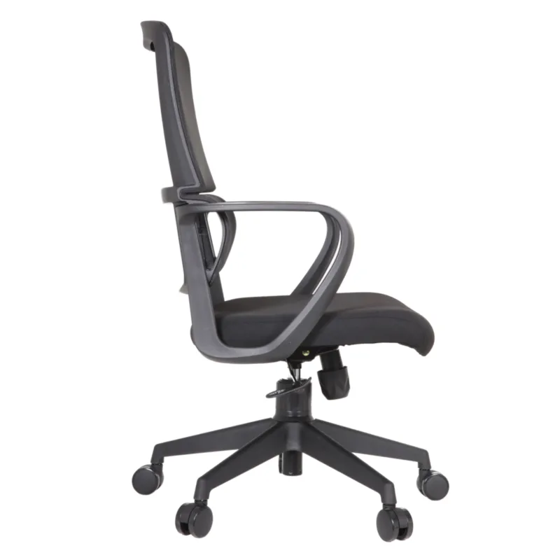 Debra IMG_0031_1 Debra Task Chair