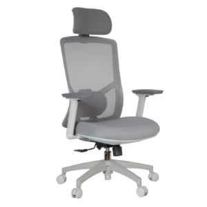 Desa IMG_0036_1 Desa Executive Chair