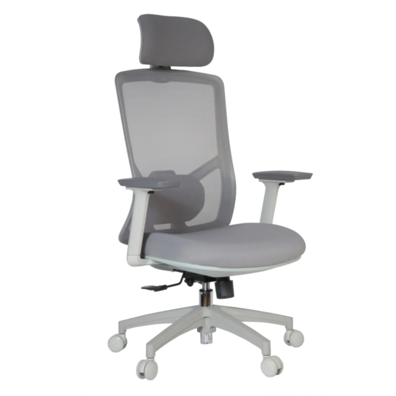 Desa IMG_0036_1 Desa Executive Chair
