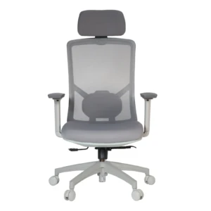 Desa IMG_0039_1 Desa Executive Chair