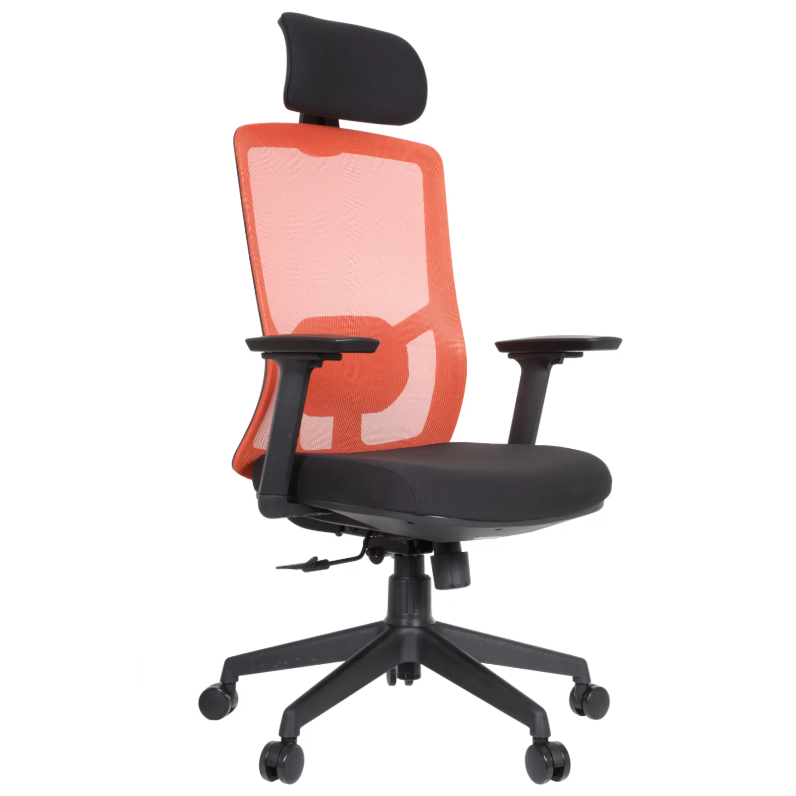 Desa IMG_62IMG_0002 Desa Executive Chair