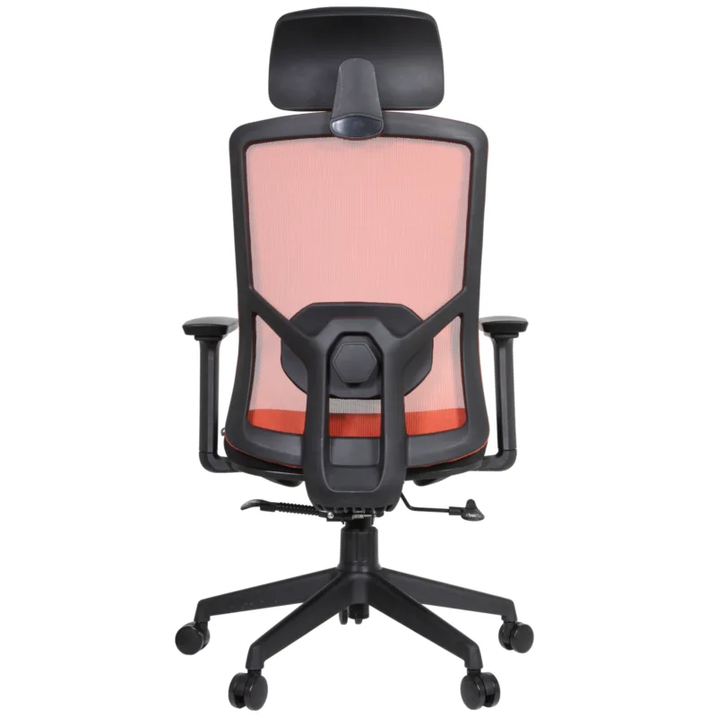 Desa IMG_62IMG_0005 Desa Executive Chair