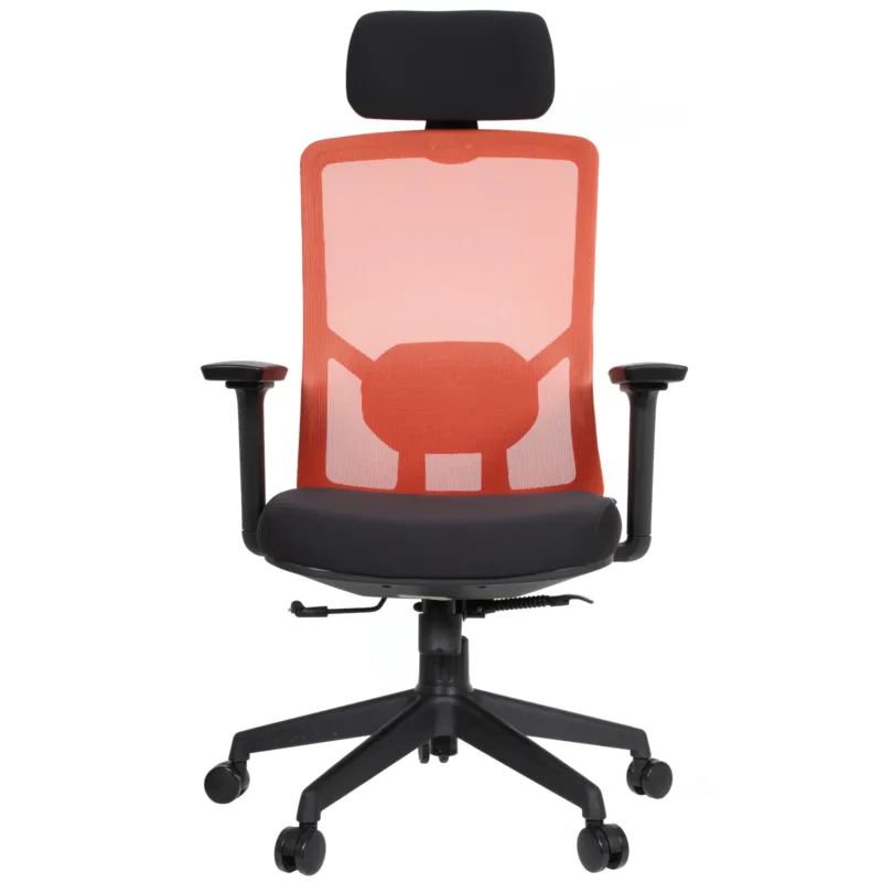 Desa IMG_62IMG_0006_1 Desa Executive Chair