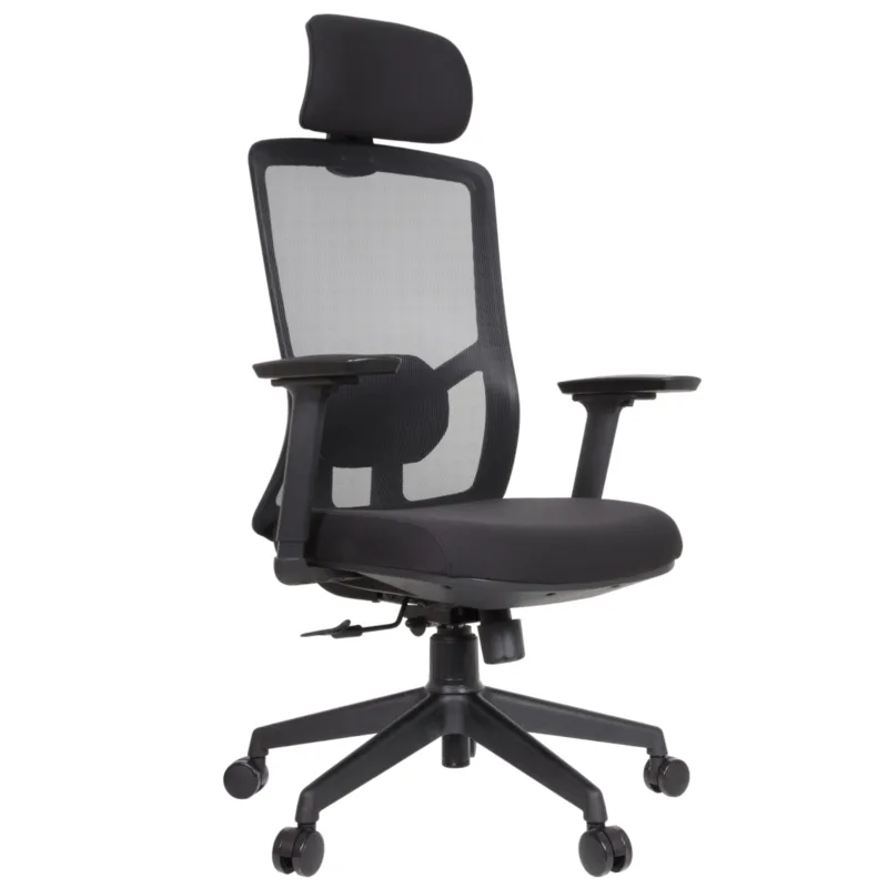 Desa IMG_62IMG_0006 Desa Executive Chair