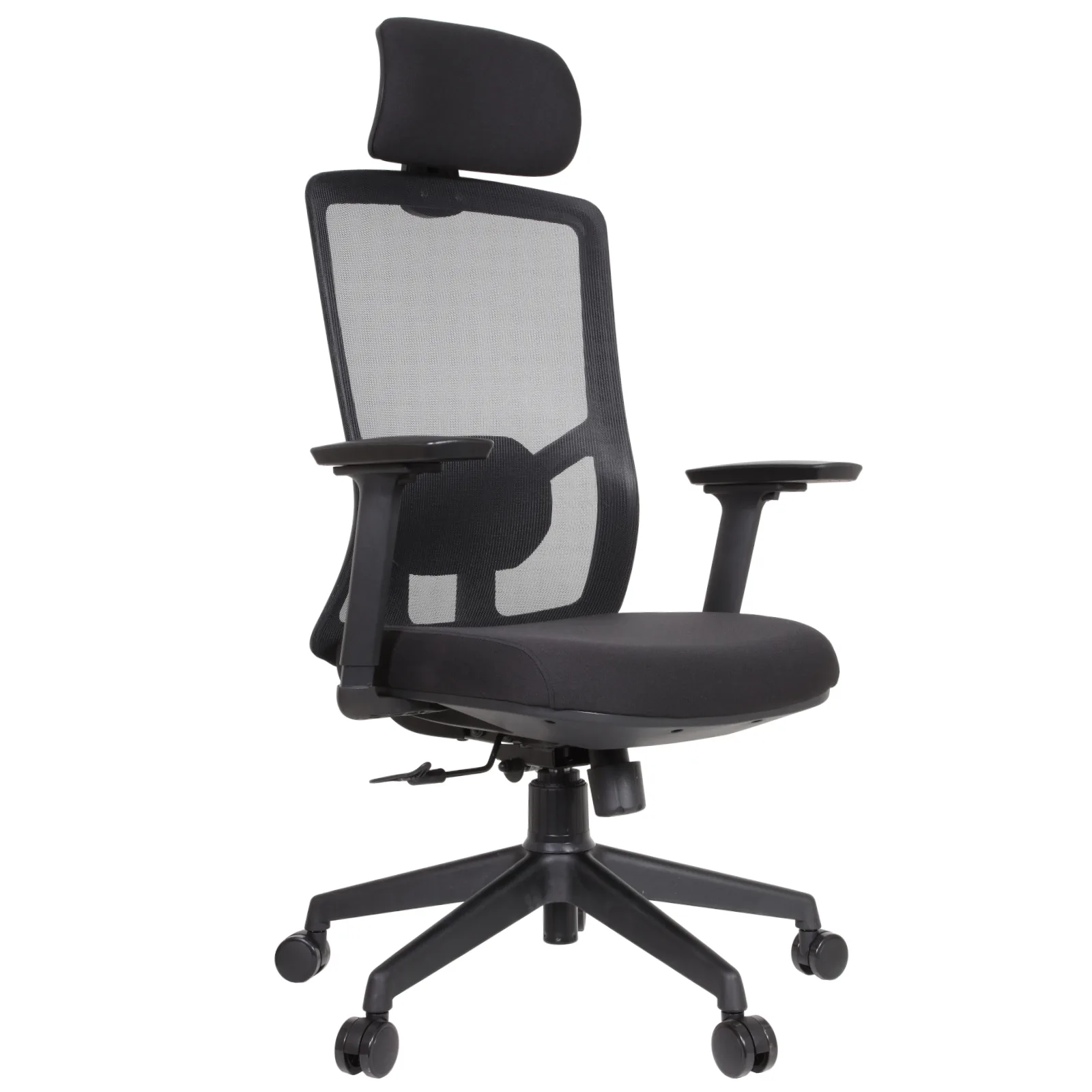 Desa IMG_62IMG_0006 Desa Executive Chair