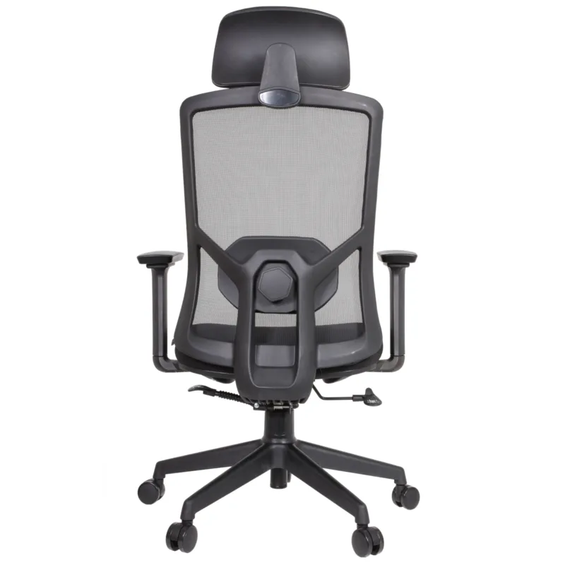 Desa IMG_62IMG_0008 Desa Executive Chair