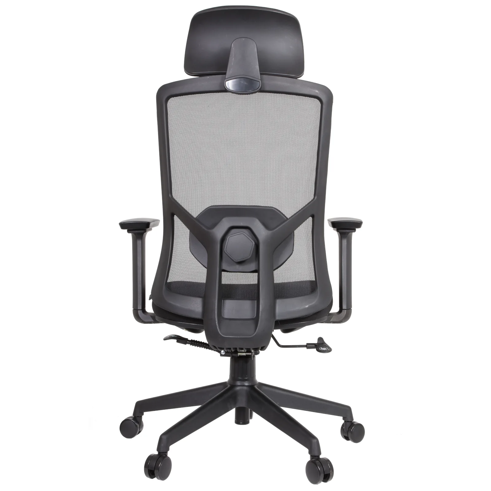 Desa IMG_62IMG_0008 Desa Executive Chair