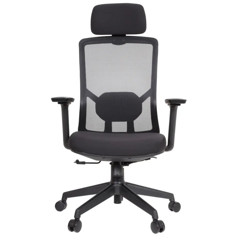 Desa IMG_62IMG_0009 Desa Executive Chair