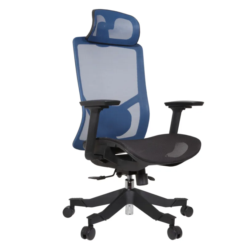 E Desa MS IMG_0007_1 Desa Executive Chair