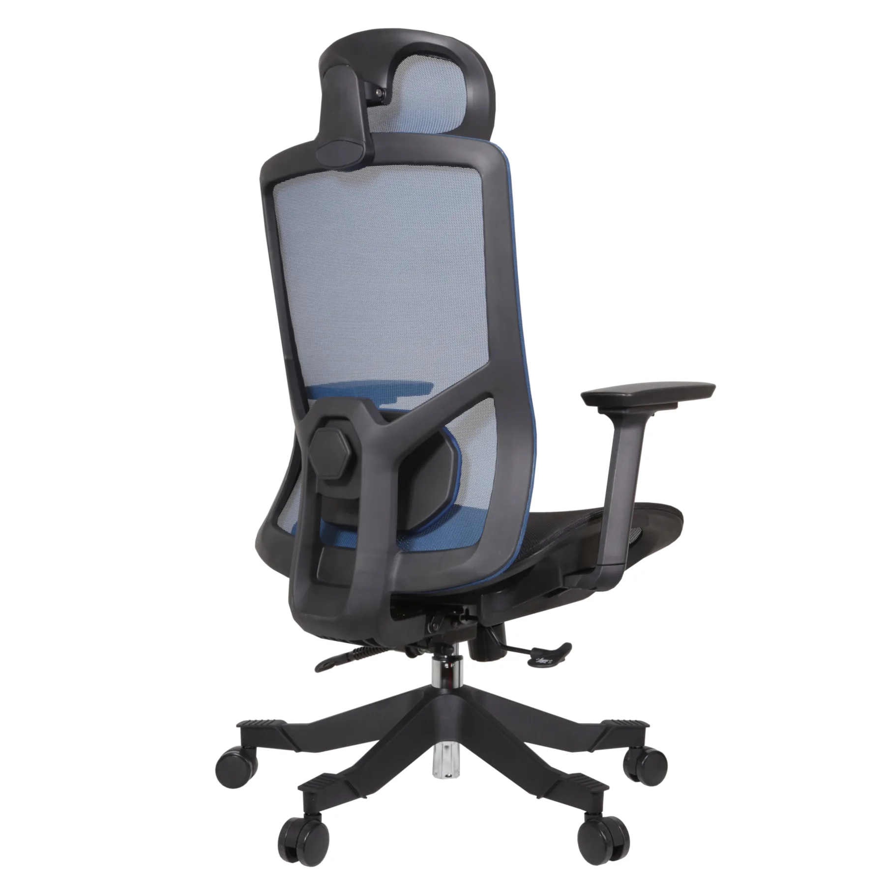 E Desa MS IMG_0008 Desa Executive Chair