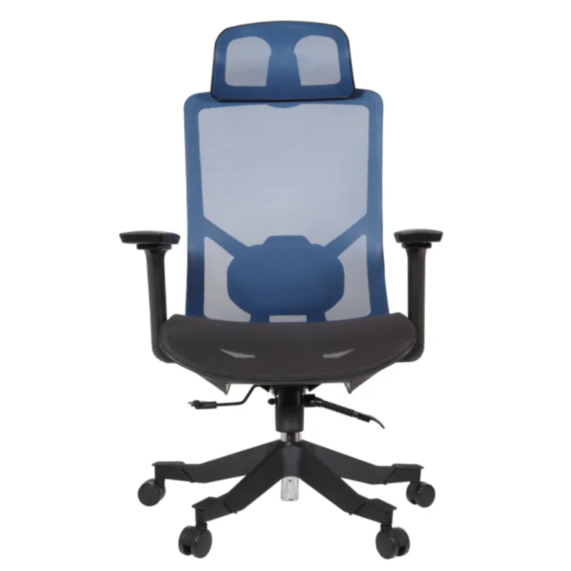 E Desa MS IMG_0010 Desa Executive Chair