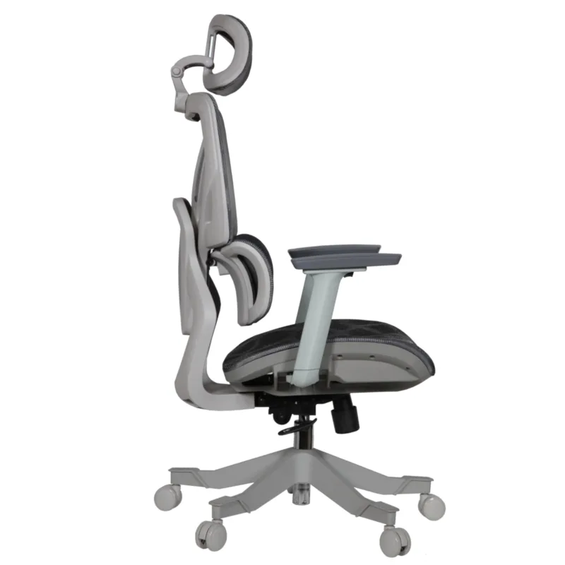 Cuda IMG_0008 Cuda Professional Chair