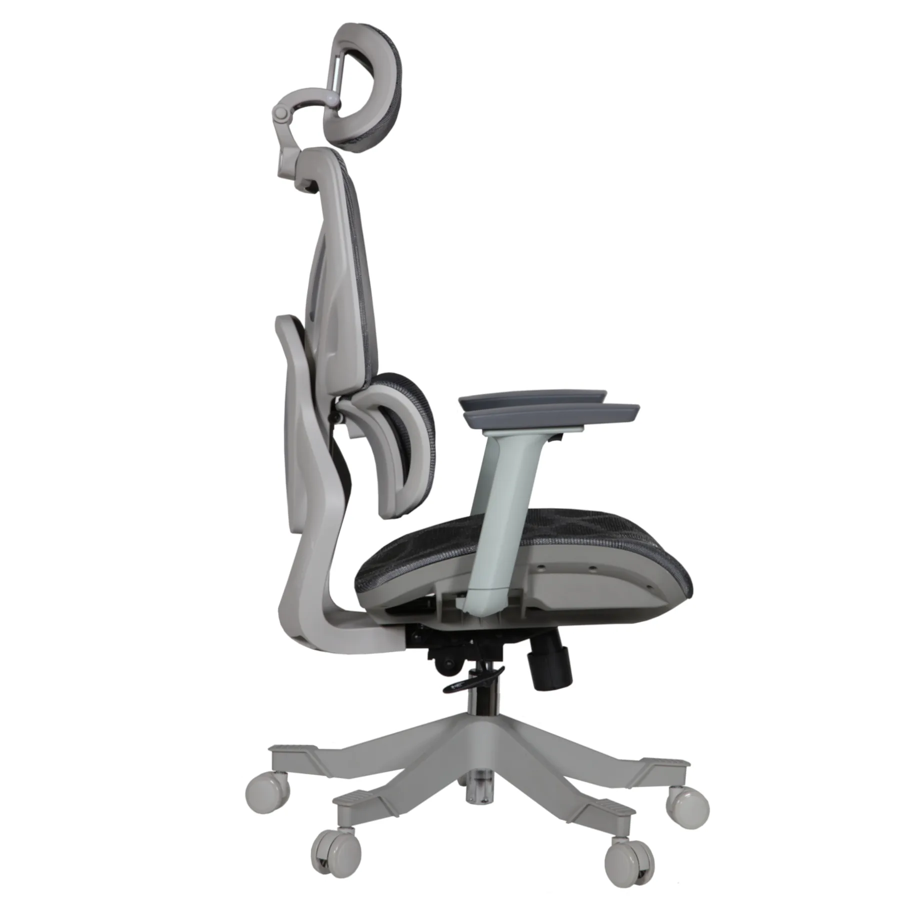 Cuda IMG_0008 Cuda Professional Chair