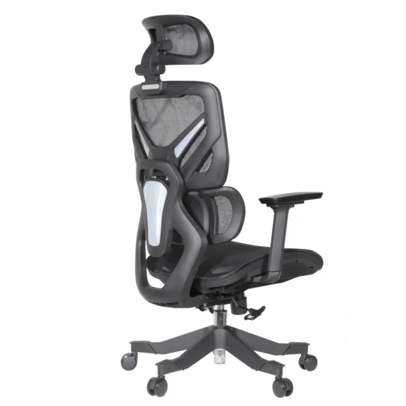 Zalta Professional Chair