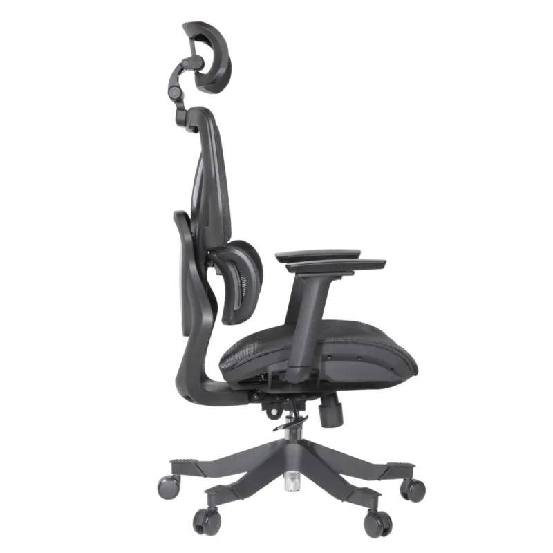 Cuda IMG_0014 Cuda Professional Chair