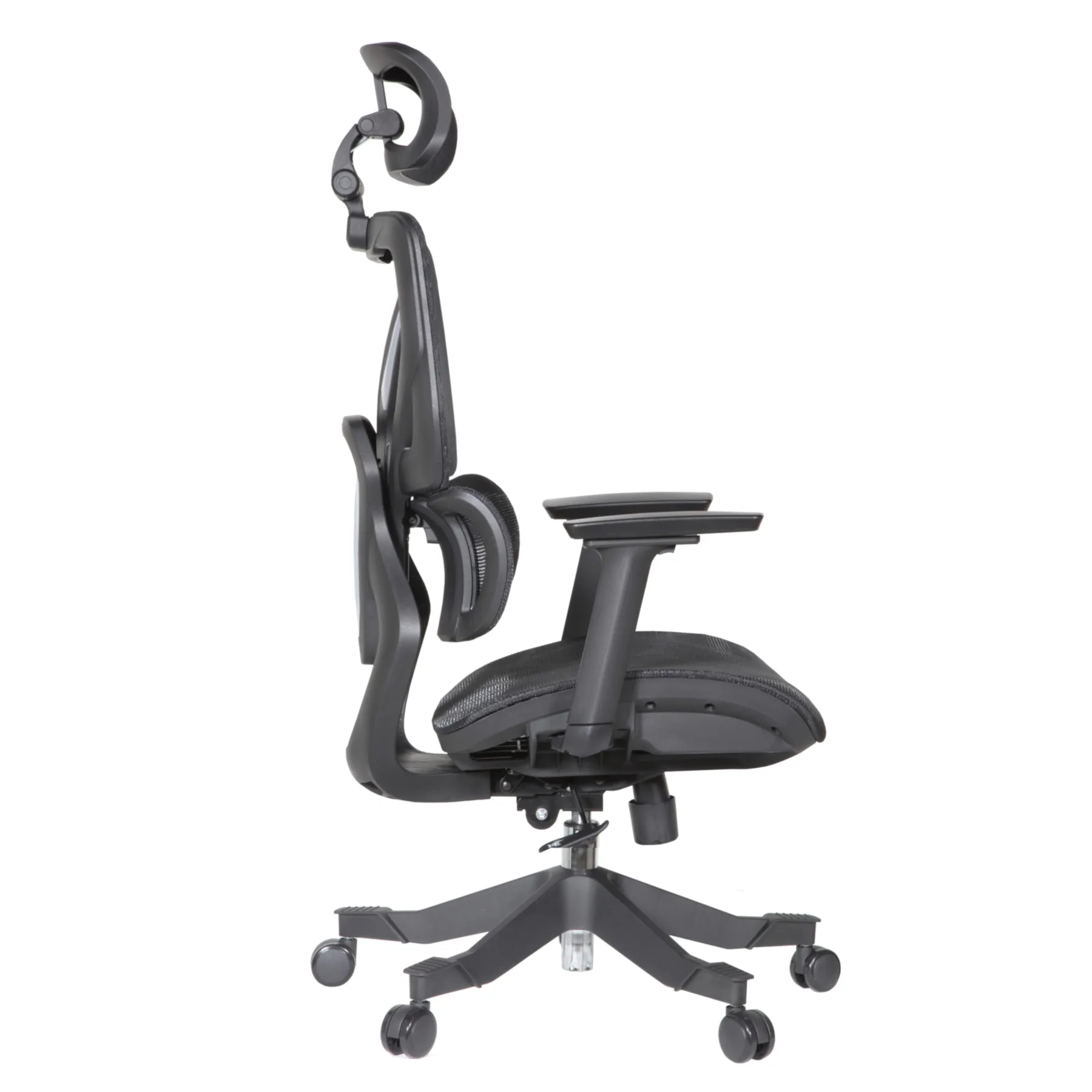 Cuda IMG_0014 Cuda Professional Chair