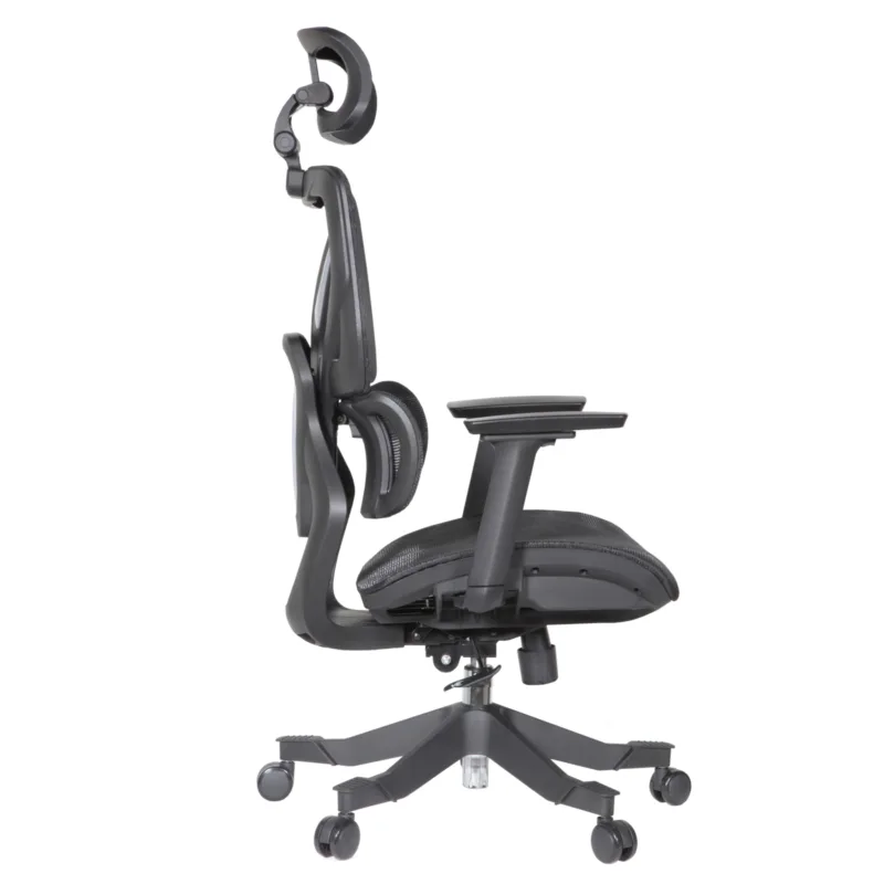 Zalta Professional Chair