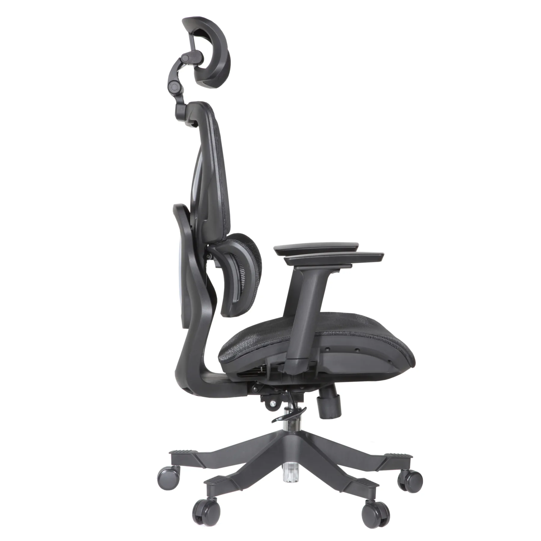 Zalta Professional Chair