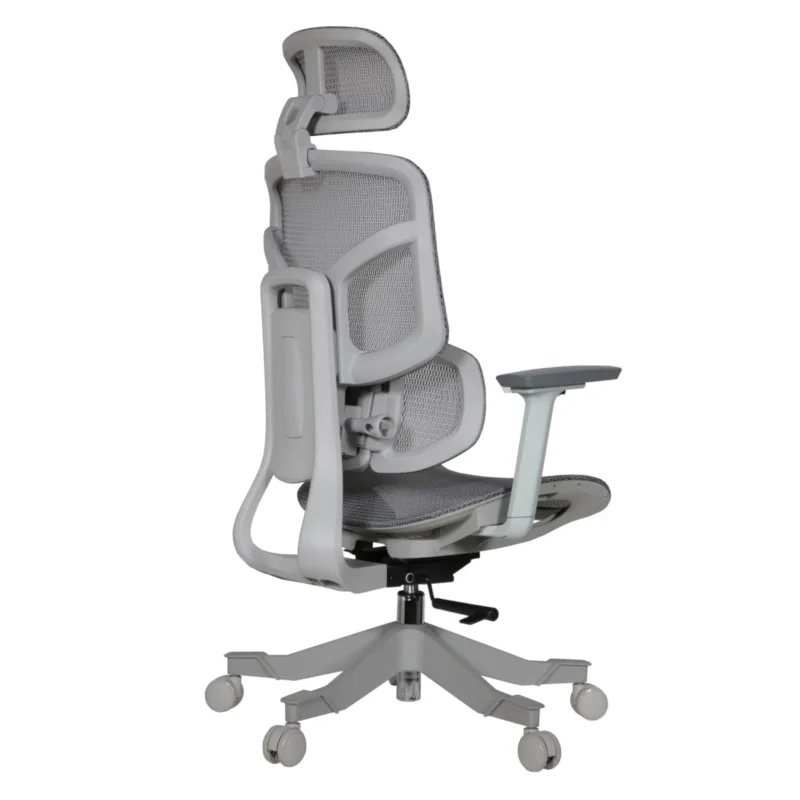 Zalta IMG_0002_2 Zalta Professional Chair