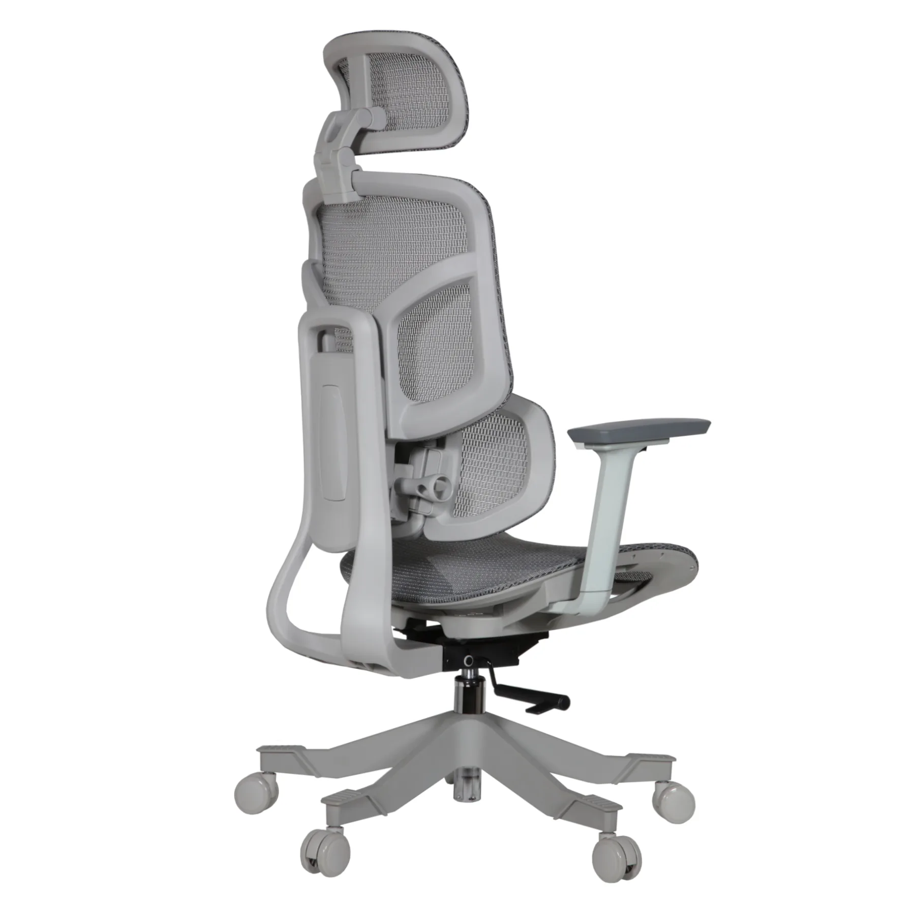 Zalta IMG_0002_2 Zalta Professional Chair