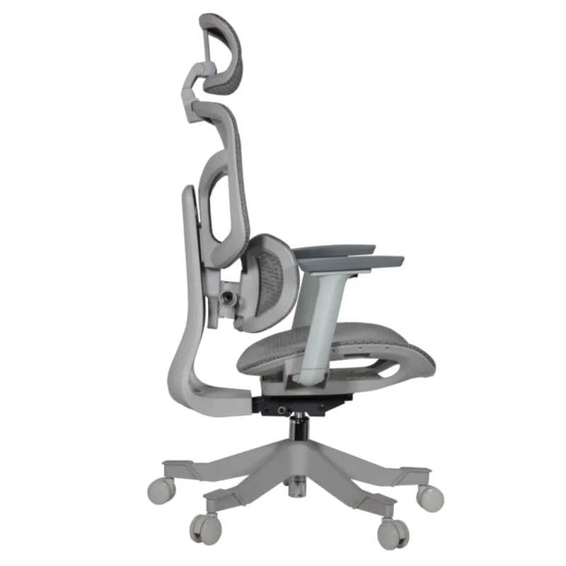 Zalta IMG_0005_1 Zalta Professional Chair