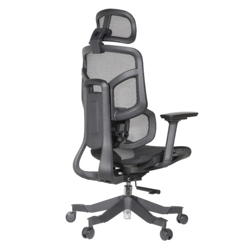 Zalta IMG_0007 Zalta Professional Chair