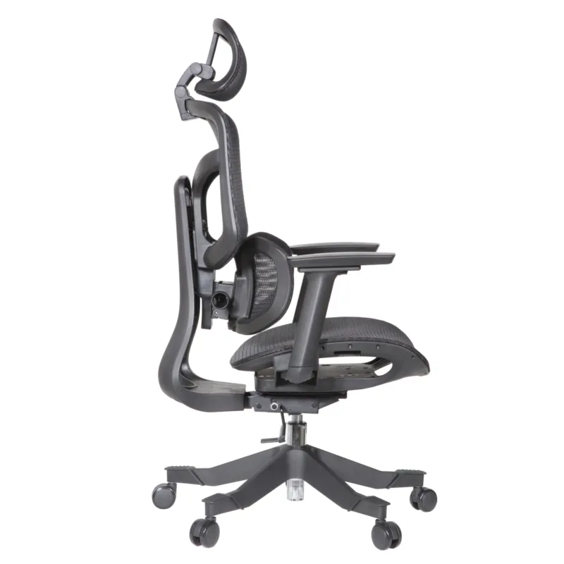 Zalta IMG_0009 Zalta Professional Chair