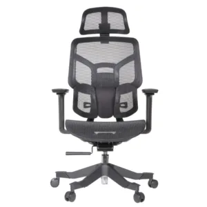 Zalta Professional Chair