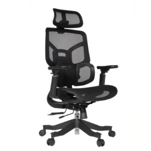 Zalta Professional Chair