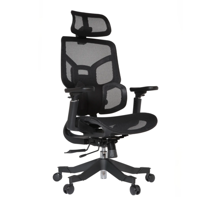 Zalta Professional Chair