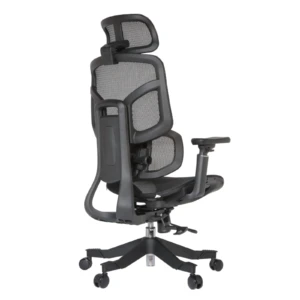 Zalta Professional Chair