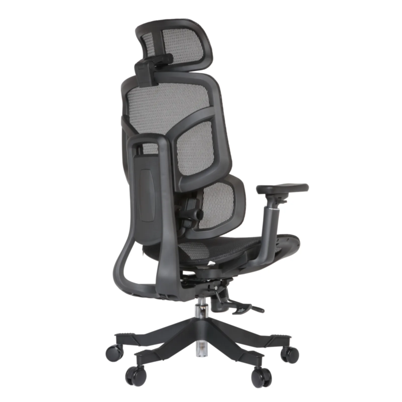 Zalta Professional Chair