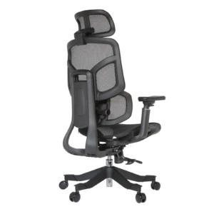 Zalta Professional Chair