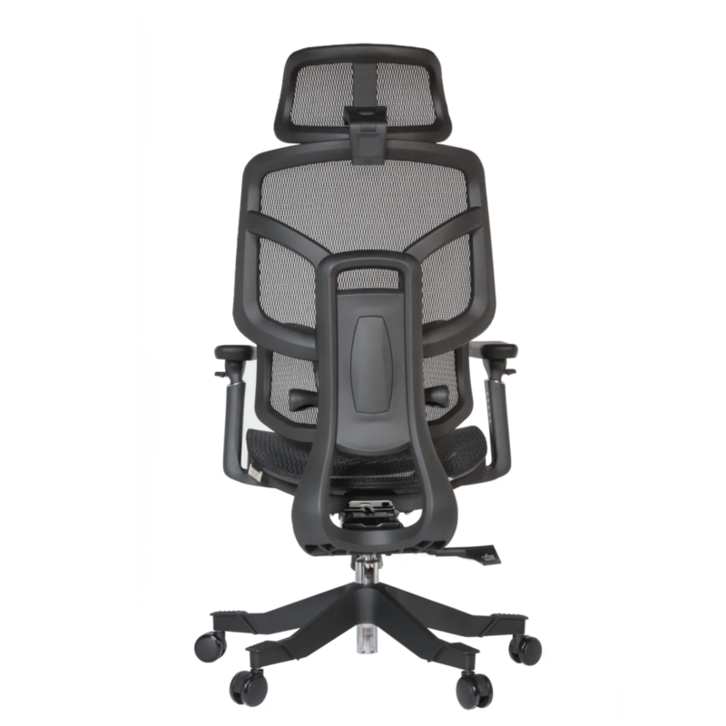 Zalta Professional Chair
